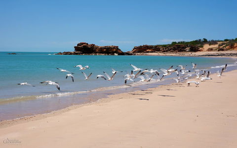 Apartments At Blue Seas Resort - Accommodation Main Beach 25