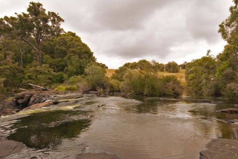 Arum - Close To The Margaret River - Accommodation Main Beach 12