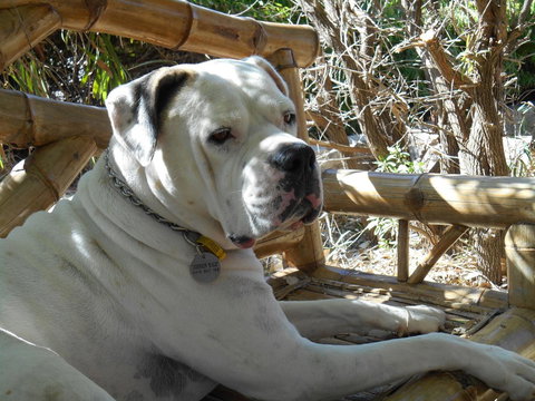 Moore River Cottage - Accommodation Main Beach 19