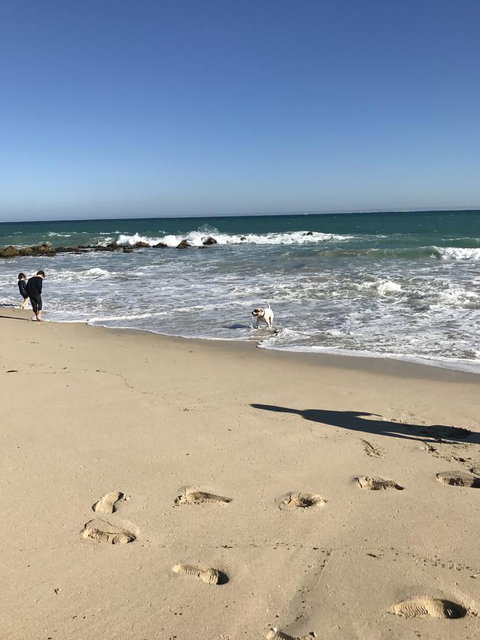 Moore River Cottage - Accommodation Main Beach 13
