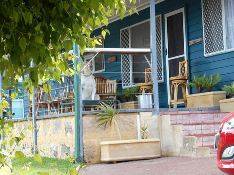 Moore River Cottage - Accommodation Main Beach 2