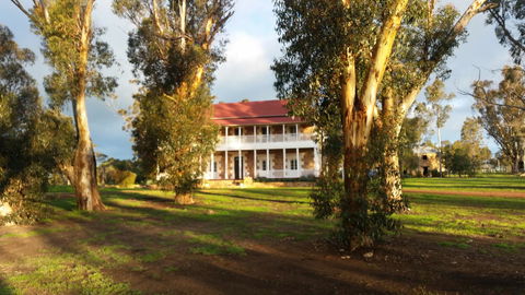 Daisy Cottage - Accommodation Main Beach 26
