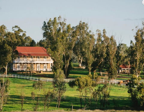 Daisy Cottage - Accommodation Main Beach 7
