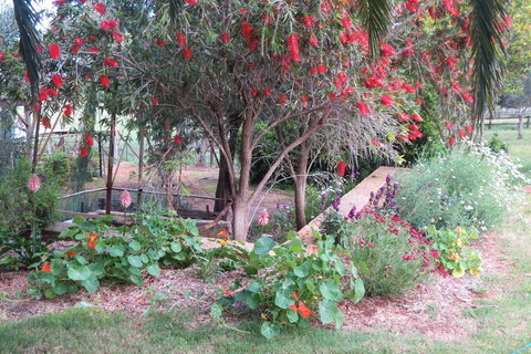 Bentwood Olive Grove Accommodation - Accommodation Main Beach 21