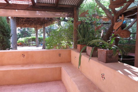 Bentwood Olive Grove Accommodation - Accommodation Main Beach 10