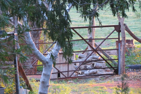 Bentwood Olive Grove Accommodation - Accommodation Main Beach 25