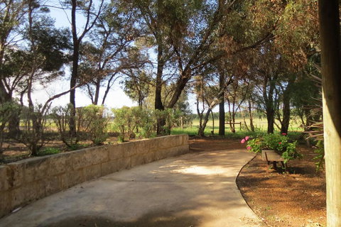 Bentwood Olive Grove Accommodation - Accommodation Main Beach 2