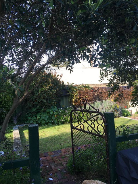 RoseMoore Bed & Breakfast - Accommodation Main Beach 1