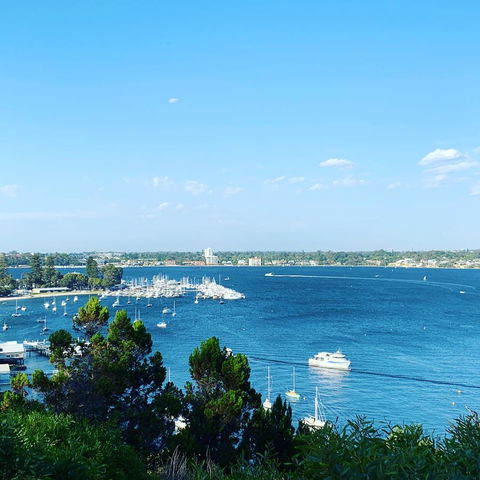 SEA BREEZE â€“ Between Cottesloe Beach & Swan River - Accommodation Main Beach 23