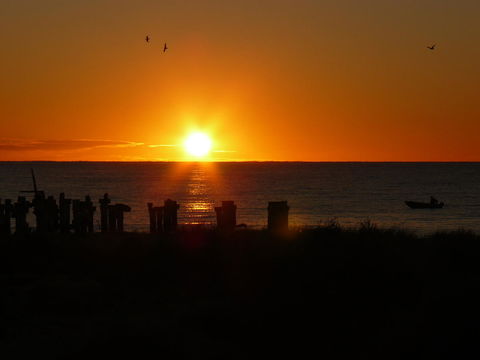 Jurien Bay Tourist Park - Accommodation Main Beach 28