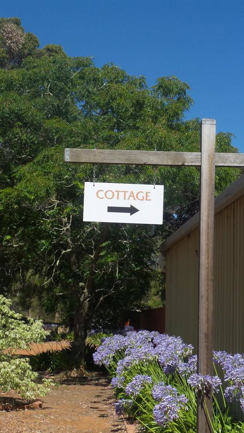 Windfall Estate Vineyard Cottage - Accommodation Main Beach 14