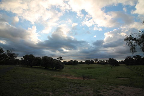 Windfall Estate Vineyard Cottage - Accommodation Main Beach 33