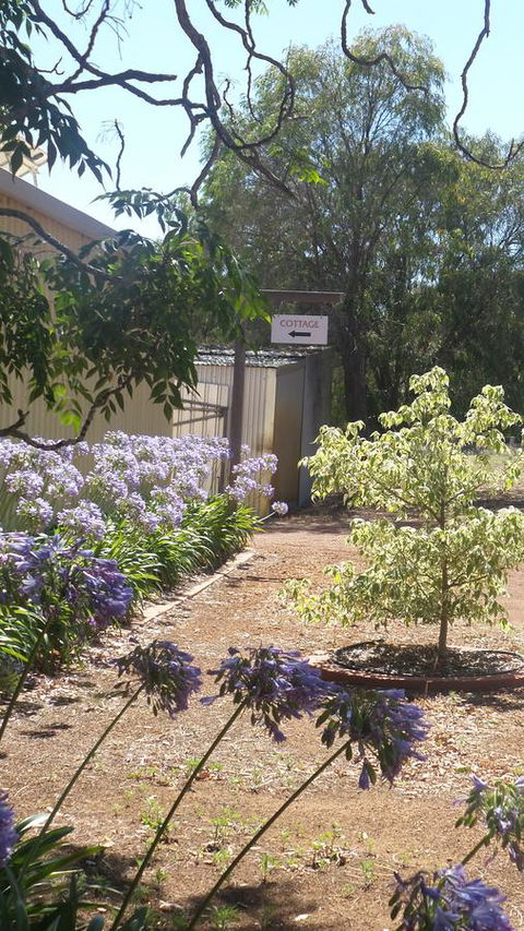 Windfall Estate Vineyard Cottage - Accommodation Main Beach 13