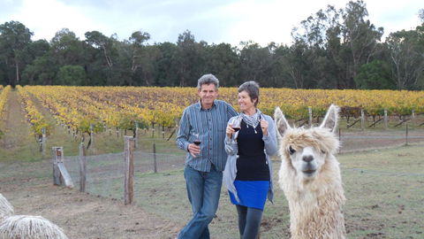 Windfall Estate Vineyard Cottage - Accommodation Main Beach 11