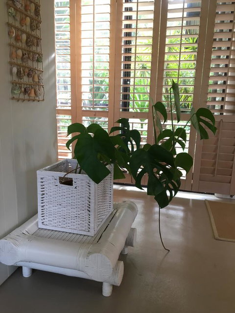 DESIGNER'S STUDIO - Accommodation Main Beach 5