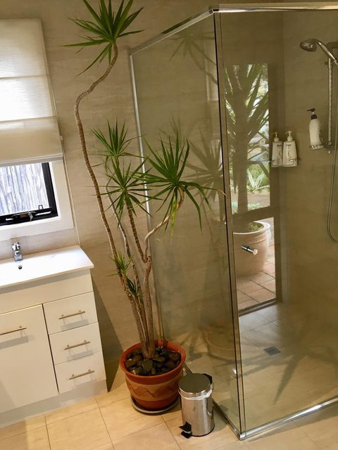 DESIGNER'S STUDIO - Accommodation Main Beach 11