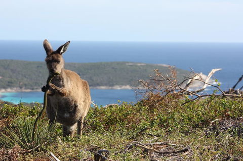 Bremer Bay B&B - Accommodation Main Beach 30