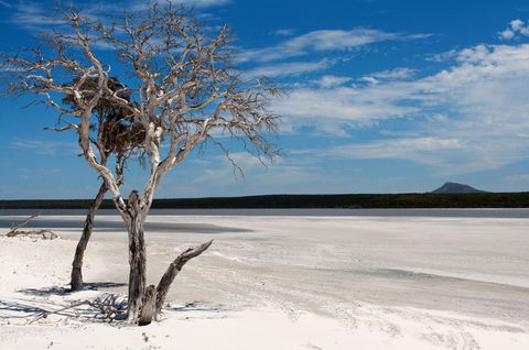 Bremer Bay B&B - Accommodation Main Beach 33