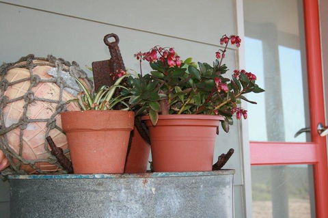 Bremer Bay B&B - Accommodation Main Beach 28