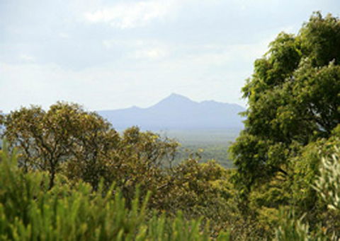 Bremer Bay B&B - Accommodation Main Beach 32