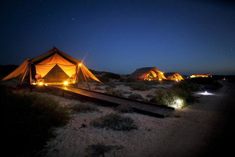 Sal Salis Ningaloo Reef - Accommodation Main Beach 0