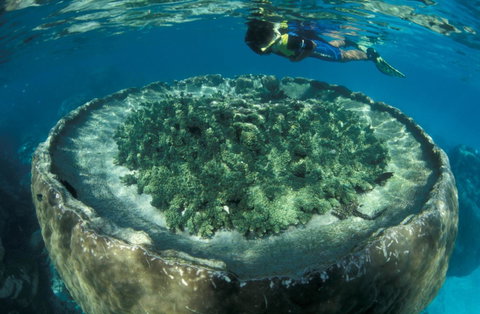 Sal Salis Ningaloo Reef - Accommodation Main Beach 8