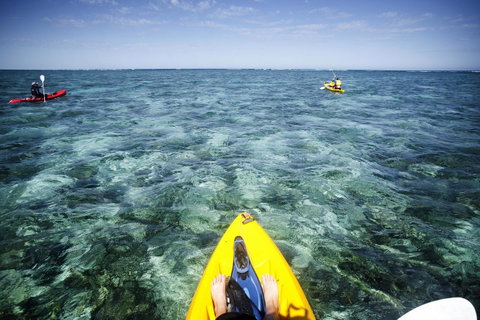Sal Salis Ningaloo Reef - Accommodation Main Beach 15