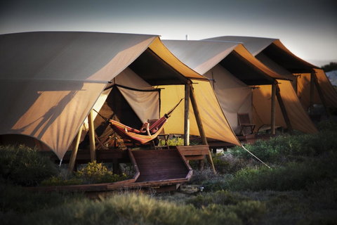 Sal Salis Ningaloo Reef - Accommodation Main Beach 23