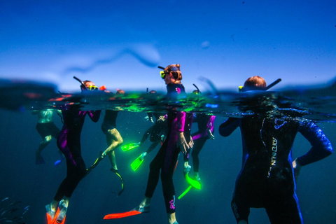Sal Salis Ningaloo Reef - Accommodation Main Beach 26