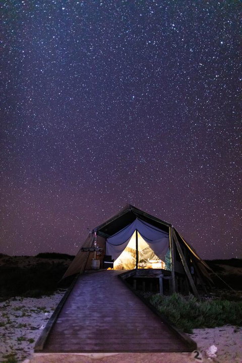 Sal Salis Ningaloo Reef - Accommodation Main Beach 7