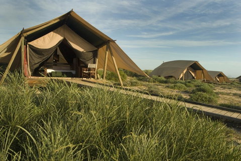 Sal Salis Ningaloo Reef - Accommodation Main Beach 25