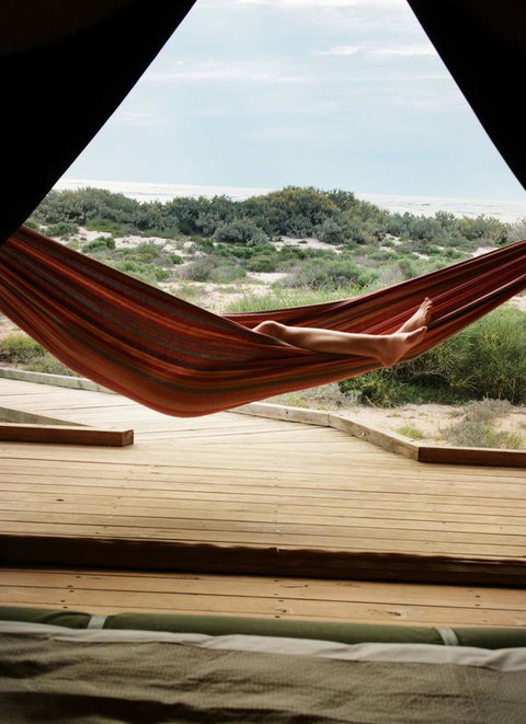 Sal Salis Ningaloo Reef - Accommodation Main Beach 35
