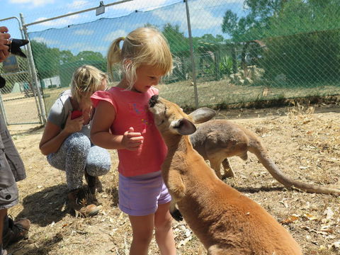 Jurien Beachfront Holiday Units - Accommodation Main Beach 36