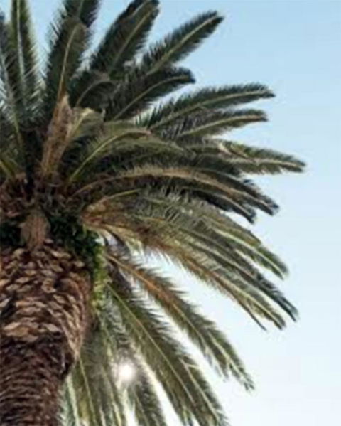 Best Western Plus Hotel Lord Forrest - Accommodation Main Beach 8