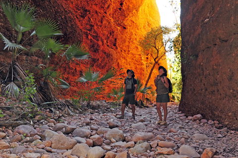 Bungle Bungle Wilderness Lodge - Accommodation Main Beach 13