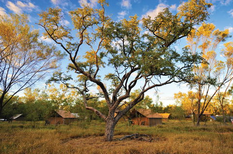Bungle Bungle Wilderness Lodge - Accommodation Main Beach 11