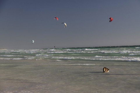 Dongara Tourist Park - Accommodation Main Beach 33