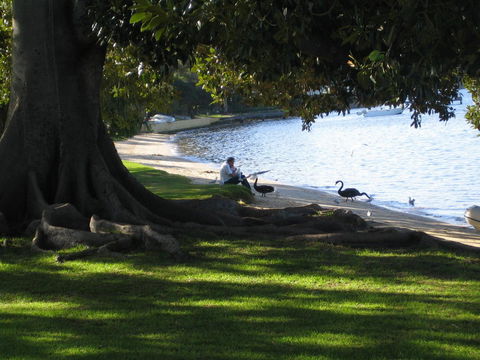Garden Studio In Cottesloe - Accommodation Main Beach 11