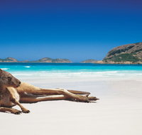 The Shiralee - Accommodation Main Beach