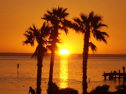 Heritage Resort Shark Bay - Accommodation Main Beach 34