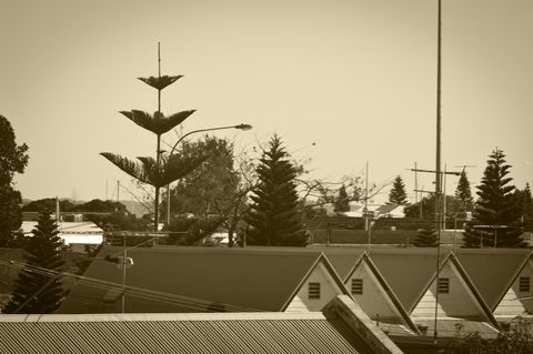 Annie's Victorian Terrace Accommodation Fremantle - Accommodation Main Beach 2