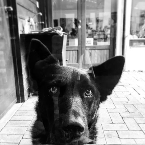 Ironstone Studio Margaret River - Accommodation Main Beach 16