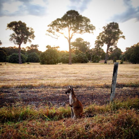Ironstone Studio Margaret River - Accommodation Main Beach 18
