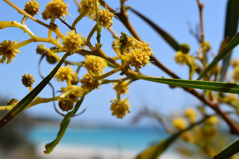 Eagle Bay House - Accommodation Main Beach 12