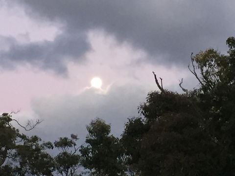 Eagle Bay House - Accommodation Main Beach 16