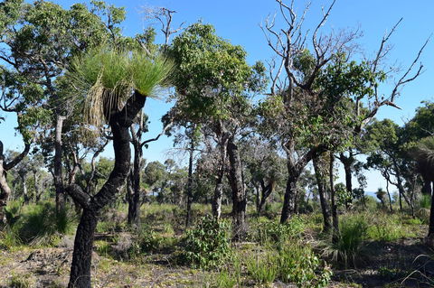 Eagle Bay House - Accommodation Main Beach 25