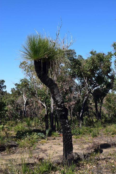 Eagle Bay House - Accommodation Main Beach 26