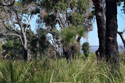 Eagle Bay House - Accommodation Main Beach 23