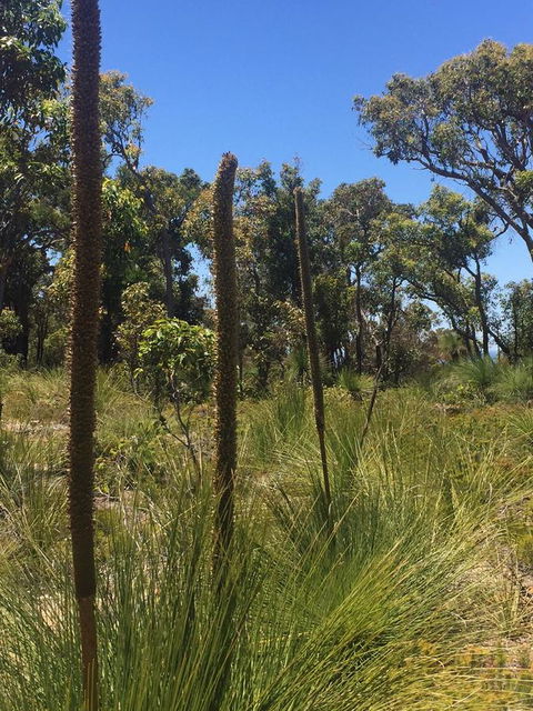 Eagle Bay House - Accommodation Main Beach 15
