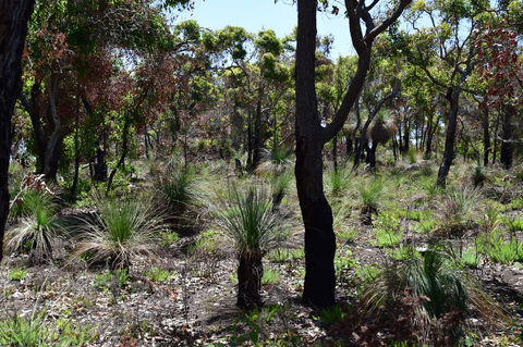 Eagle Bay House - Accommodation Main Beach 27